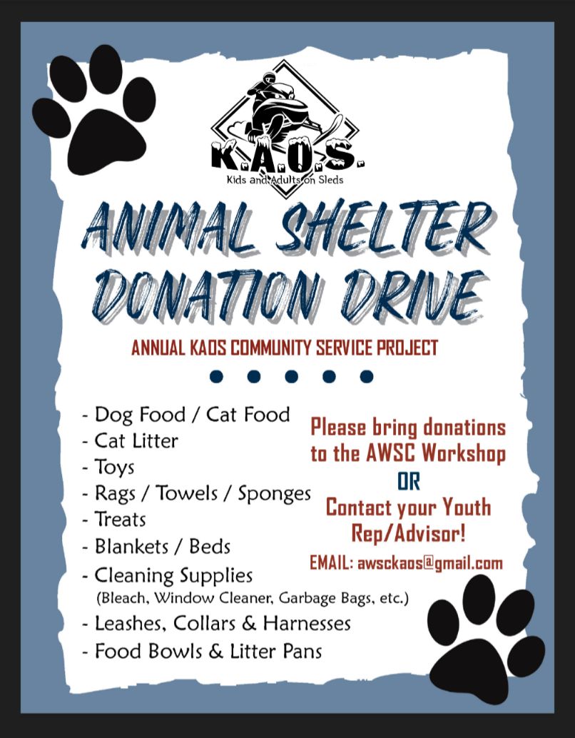 KAOS Pet Flyer